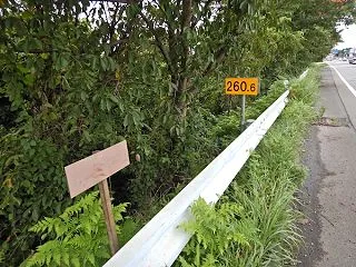 浪江レポート 2026.08.30 (そ…