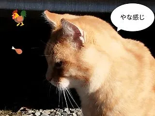 名前の覚え方＋時事ニュース・テロ