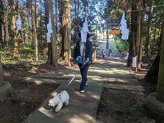 モフモフ犬と子供たち