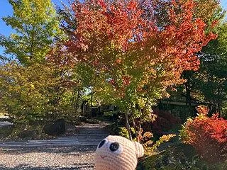 「自分を大切に」（・◇・）