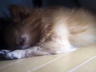 秒で帰ってきた