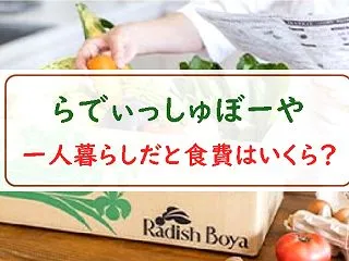 らでぃっしゅぼーやで一人暮らしの食費は？…