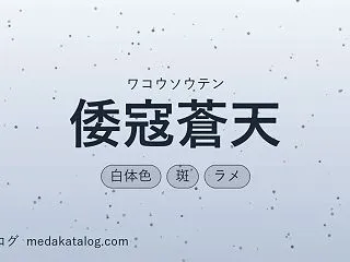 倭寇蒼天（わこうそうてん）とは｜特徴・値…
