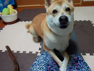 母さんの足、今と昔。
