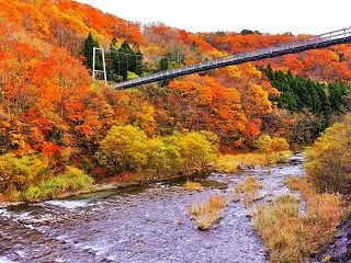 横川渓谷 20261011