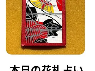 本日の花札占い