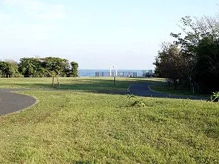 10/24探鳥記録写真（ジョウビタキ♂、…