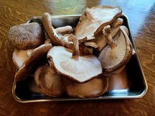 秋の味覚