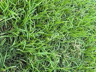 ポン様、夜間救急へ