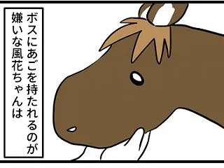 ダースベーダ風花