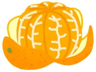 最強の果物って冬みかんだよな