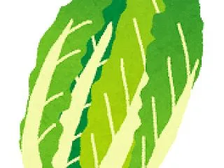 【悲報】葉物野菜、値段が2倍に