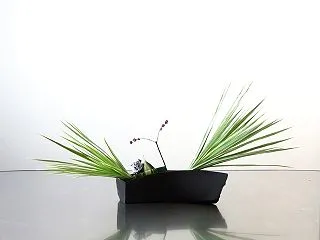エネルギーの放出