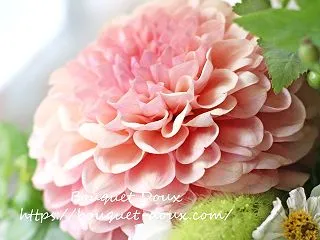 今月は早めにレッスン終了です♪