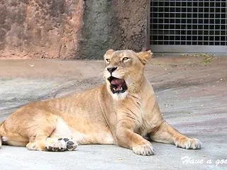 長いんだね～～！