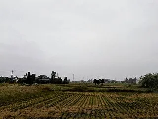 雨続きそう