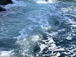 村上海賊の本拠 能島城址（10/17）瀬…