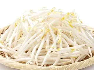 野菜の価格は戻らないし…もやしすら逃げ道…