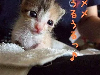こんな～時代も～ああ～ったねと～♪