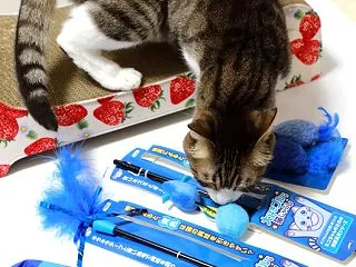 猫は青色がお好き？