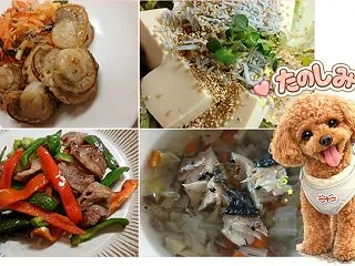 ホタテのソテーや冷奴サラダ＆わんこご飯
