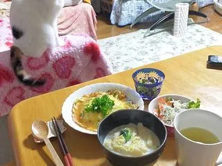 ちょっとええカニカマで、天津飯