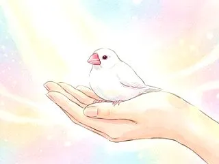 手のひらの幸せと、見えない念の行方
