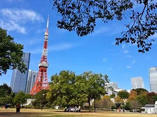 あんずと秋晴れの芝公園へ