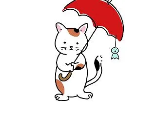 雨です・・・。