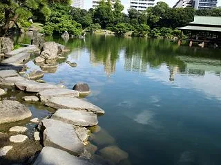 清澄庭園 202610 11