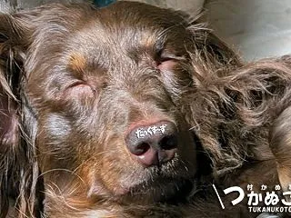 だっくす～ずには台風なんてどうでも良くな…
