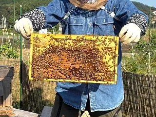 小さな命に教えられること