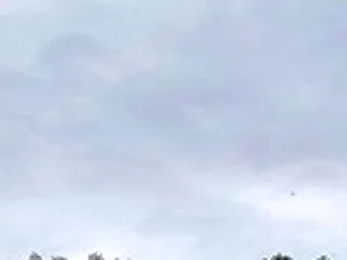 今日の万歩計