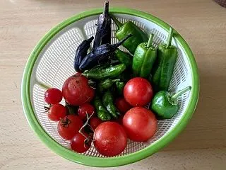 [Vegetable] 今年最後の収穫か…