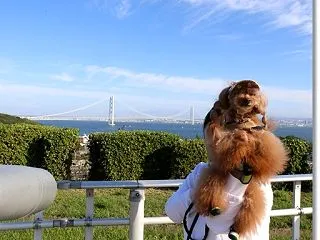 ちょっとチョイスミスしました。。。 ～秋…