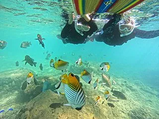 沖縄本島旅行2026-5