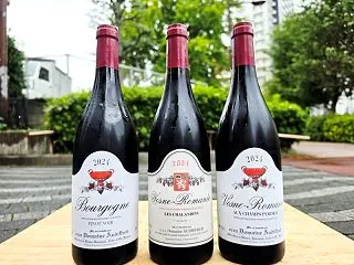 オーディフレッド貴重な2024vin 3…