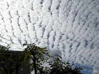 秋の空