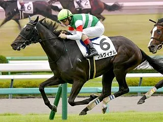 アルテミスS キャロットの2頭が有力と見…
