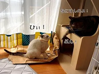 加害者であり被害者