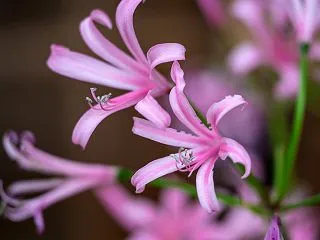 花の都公園へ10/6その２