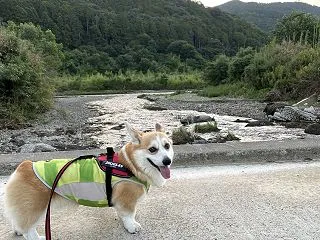 夜半の雨音