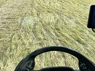 通常と違うこと