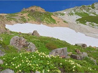  白馬三山縦走 花巡りの山歩き