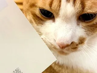 【hanaの日記】お誕生日に届いたバース…
