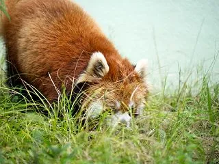 千葉市動物公園 202609 65
