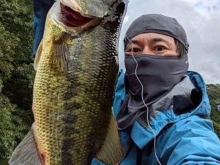 復活。