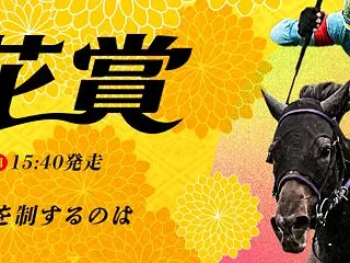 第８７回 菊花賞(G1)の見解