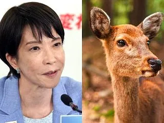 高市早苗首相による人権侵害や外国人排斥を…