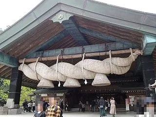 後天的な麻痺の保護猫 不妊手術パニック